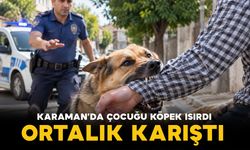 Karaman’da çocuğu ısıran köpek sonrası ortalık karıştı