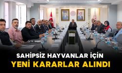 Karaman’da sahipsiz hayvanlar için yeni kararlar alındı