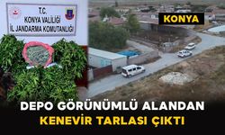 Konya’da depo görünümlü alanda kenevir operasyonu