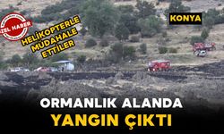 Konya’da ormanda yangın