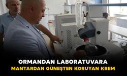 Ormandan Laboratuvara: Mantardan Güneşten Koruyan Krem
