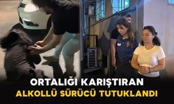 Ortalığı Karıştıran Alkollü Sürücü Tutuklandı