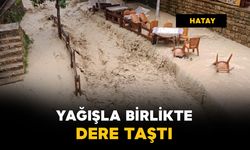 Samandağ'da sağanak dereyi taşırdı: Çay bahçesi sular altında kaldı