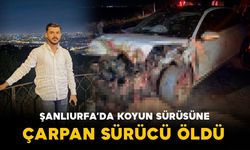 Şanlıurfa’da koyun sürüsüne çarpan otomobilin sürücüsü öldü