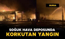 Bursa'da soğuk hava deposunda yangın paniği