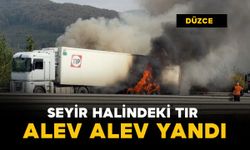 Düzce'de tır alev alev yandı