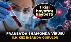 Fransa’da Shamonda virüsü ilk kez insanda görüldü