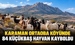 Karaman Ortaoba köyünde 84 küçükbaş hayvan kayboldu