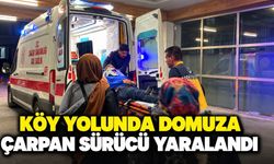 Karaman’da rahatsızlanan babasını ambulansa teslim eden sürücü domuza çarptı: 1 yaralı