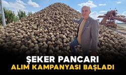 Karaman Ziraat Odası Başkanı Mehmet Bayram: "Üreticinin gözü açıklanacak pancar fiyatında"