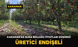 Karaman’da elma bolluğu fiyatları düşürdü: Üretici endişeli
