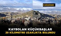 Karaman’da kaybolan 84 küçükbaş hayvan 20 kilometre uzaklıkta bulundu