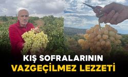 Karaman’da kış sofralarının vazgeçilmez lezzeti: Esabalı üzümü