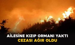Kastamonu’da ailesine kızıp ormanı yaktı: Cezası ağır oldu