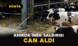 Konya’da ahırda inek saldırısı can aldı