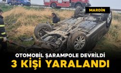 Mardin'de otomobil şarampole devrildi: 3 kişi yaralı