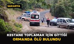 Sakarya'da kestane toplamak için gittiği ormanda ölü bulundu