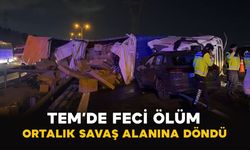 TEM’de feci ölüm: Ortalık savaş alanına döndü