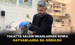 Tokat’ta salgın: İnsanlardan sonra hayvanlarda da görüldü