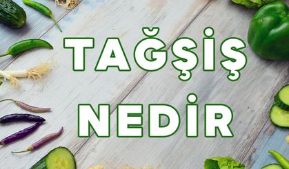 Tağşiş Nedir? Tağşiş Ne Demek? Hangi Sektörün Terimi Olarak Kullanılıyor?