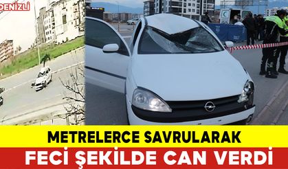 Feci Şekilde Can Verdi