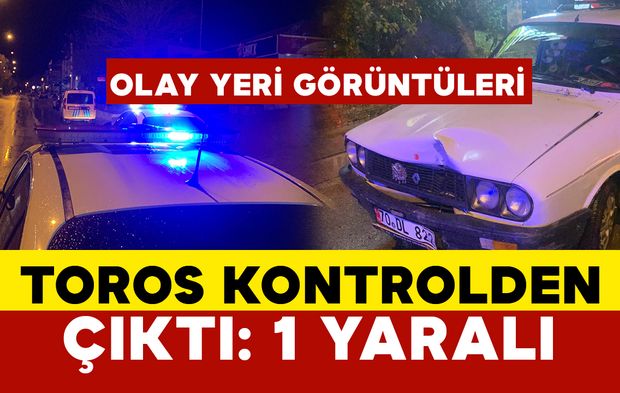 Otomobil ağaca çarptı: 1 yaralı OLAY YERİ GÖRÜNTÜLERİ