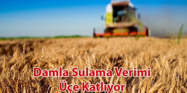 Damla Sulama Verimi Üçe Katlıyor