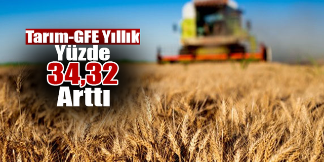 Tarım-GFE Yıllık Yüzde 34,32 Arttı