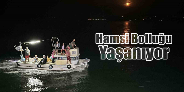 Balık Sezonu Hamsi Bolluğuyla Başladı