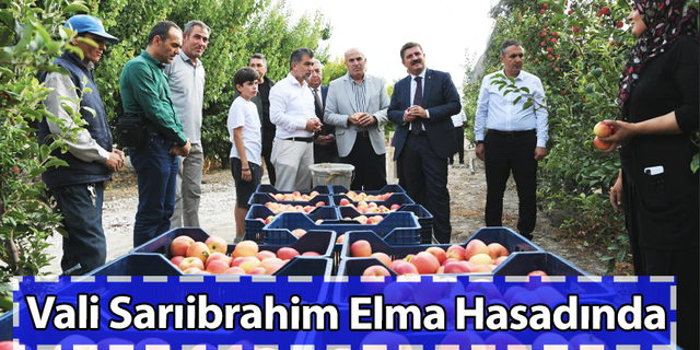 Vali Sarıibrahim Elma Hasadında