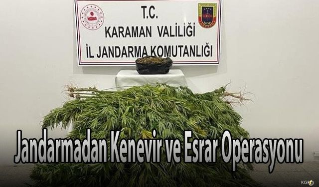 Jandarmadan Kenevir ve Esrar Operasyonu