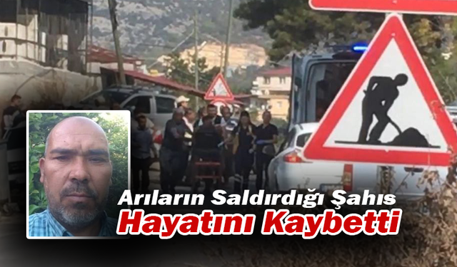 Arıların Saldırdığı Şahıs Hayatını Kaybetti