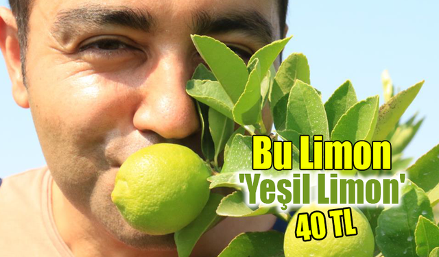 Bu Limon 'Yeşil Limon' Fiyatı: 40 TL, Diğerleri 3 TL