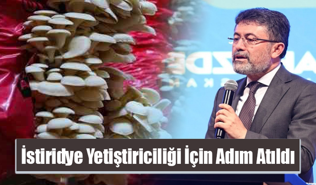 İstiridye Yetiştiriciliği İçin Adım Atıldı