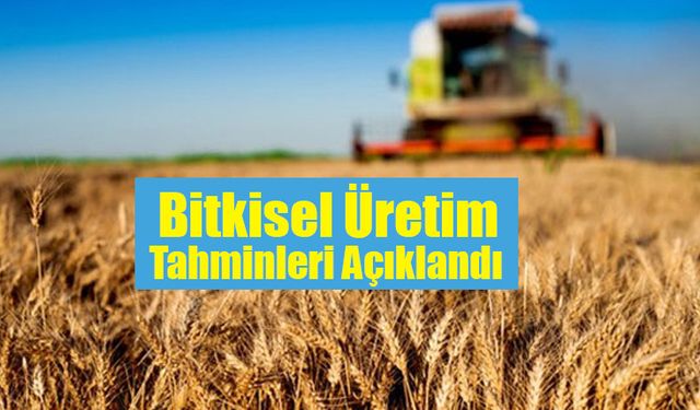 Bitkisel Üretim Tahminleri Açıklandı