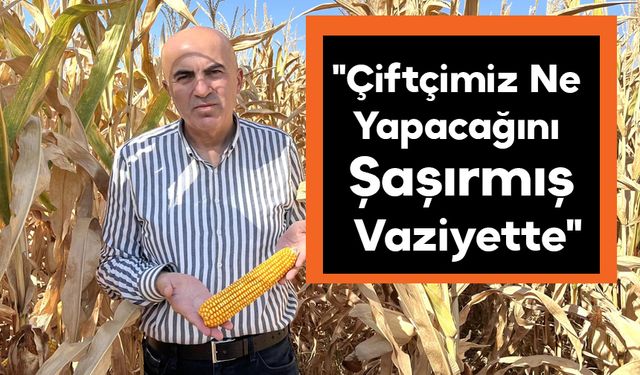 "Çiftçimiz Ne Yapacağını Şaşırmış Vaziyette"