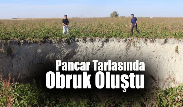 Pancar Tarlasında Yeni Obruk Oluştu