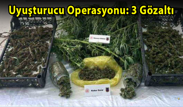 Uyuşturucu Operasyonu: 3 Gözaltı