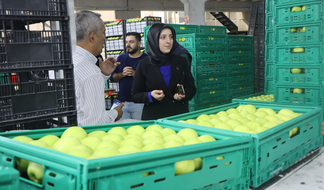 Karaman Elması Dünya Pazarına İhraç Oluyor