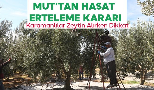 Bazı Üreticiler Hasadı Erteledi