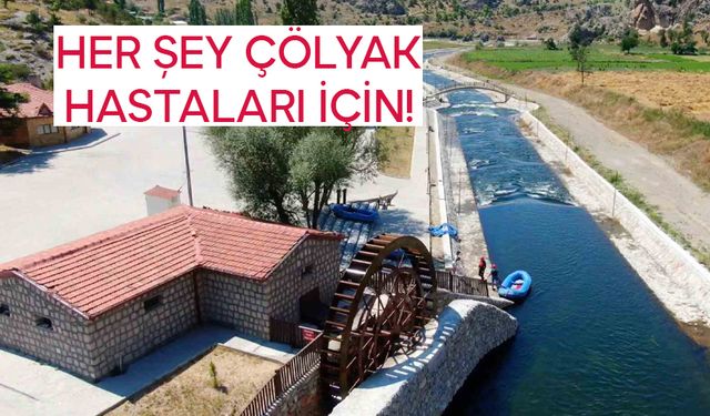 Çölyak Hastaları İçin Karabuğday Unu Üretiliyor