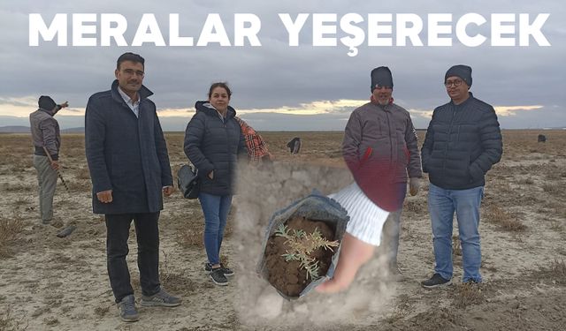Meralar Yeşerecek