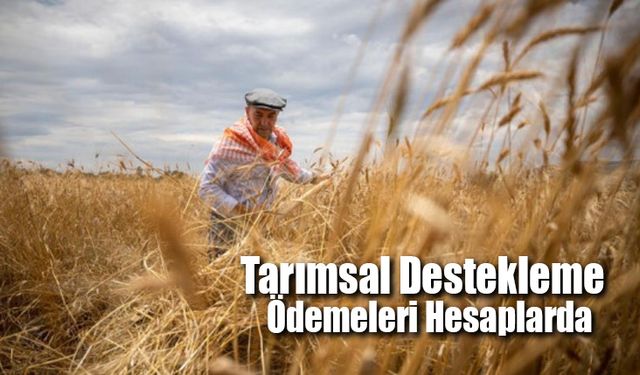 Tarımsal Destekleme Ödemesi Bugün Çiftçilerin Hesaplarında