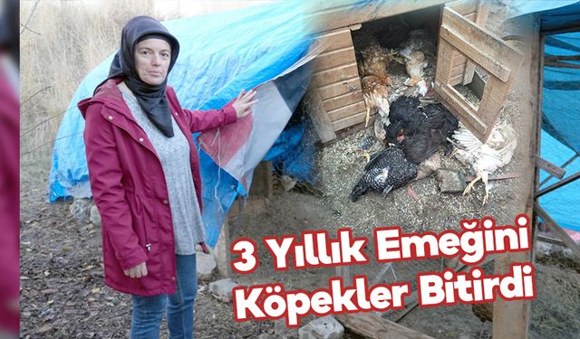 3 Yıllık Emeği Çöp Oldu