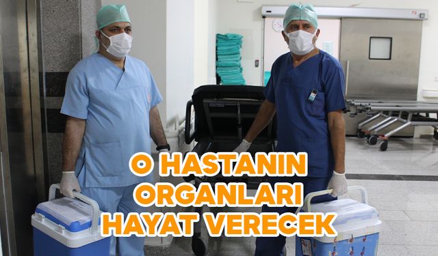 Bağışlanan Organlar Diğer Hastalara Umut Olacak