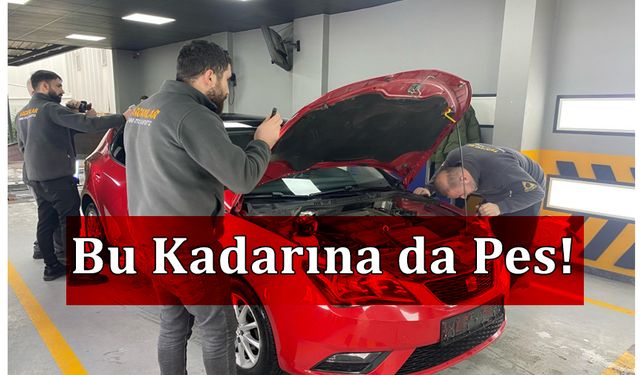 Bu Kadarına da Pes!