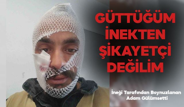 İneğimden Şikayetçi Değilim