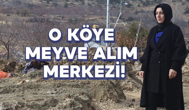 O Köye Meyve Alım Merkezi