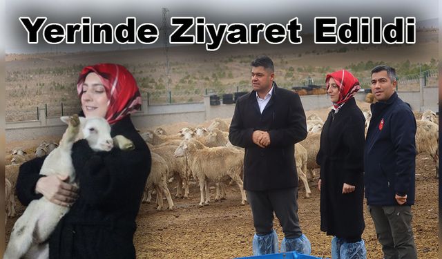 Yerinde Ziyaret Edildi