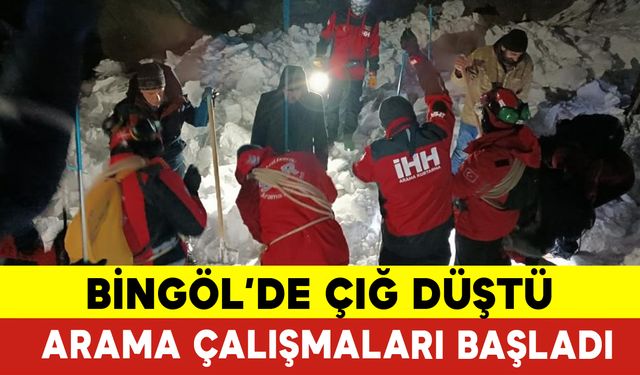 Bingöl'de Çığ Faciası-1 Kişi Aranıyor